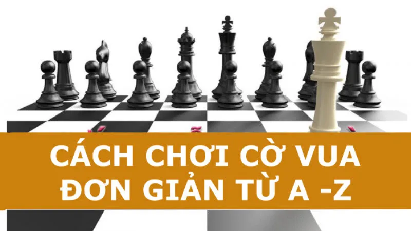 cach choi co vua 02 Chiến Thuật Cơ Bản